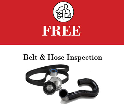 belt and hoses coupon